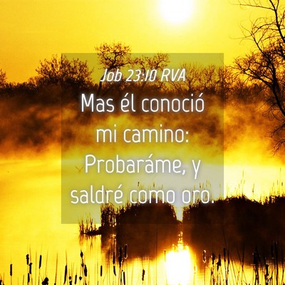 Picture 04 - Job 23:10 RVA - Mas él conoció mi camino: Probaráme, y saldré - Bible Verse Picture
