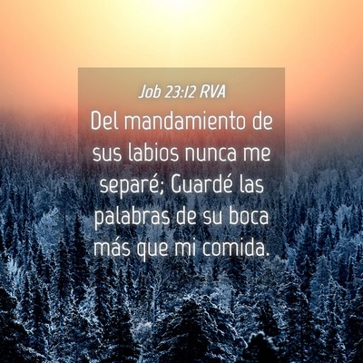 Picture 04 - Job 23:12 RVA - Del mandamiento de sus labios nunca me separé; - Bible Verse Picture