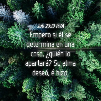 Picture 04 - Job 23:13 RVA - Empero si él se determina en una cosa, ¿quién - Bible Verse Picture
