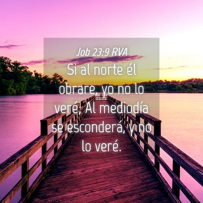Picture 04 - Job 23:9 RVA - Si al norte él obrare, yo no lo veré; Al - Bible Verse Picture