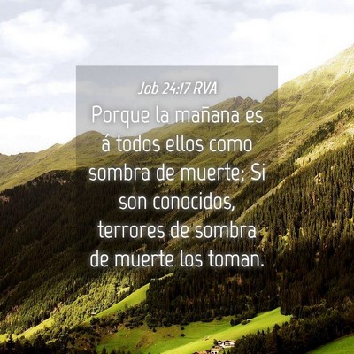 Picture 04 - Job 24:17 RVA - Porque la mañana es á todos ellos como sombra - Bible Verse Picture