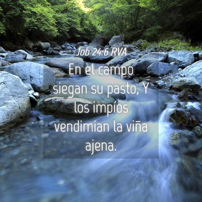 Picture 04 - Job 24:6 RVA - En el campo siegan su pasto, Y los impíos - Bible Verse Picture