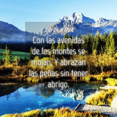 Picture 04 - Job 24:8 RVA - Con las avenidas de los montes se mojan, Y - Bible Verse Picture