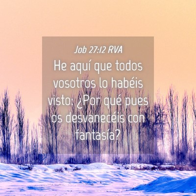 Picture 04 - Job 27:12 RVA - He aquí que todos vosotros lo habéis visto: - Bible Verse Picture