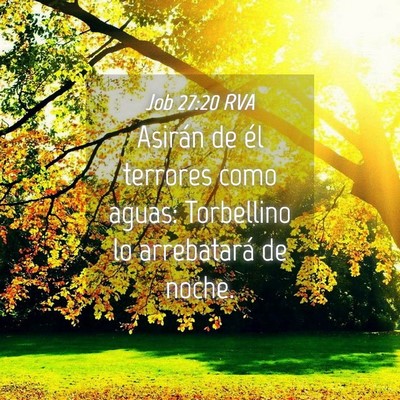 Picture 04 - Job 27:20 RVA - Asirán de él terrores como aguas: Torbellino lo - Bible Verse Picture