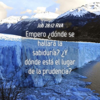 Picture 04 - Job 28:12 RVA - Empero ¿dónde se hallará la sabiduría? ¿Y - Bible Verse Picture