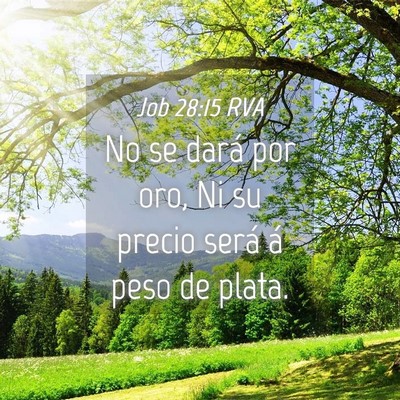 Picture 04 - Job 28:15 RVA - No se dará por oro, Ni su precio será á peso - Bible Verse Picture