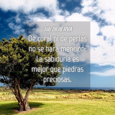 Picture 04 - Job 28:18 RVA - De coral ni de perlas no se hará mención: La - Bible Verse Picture