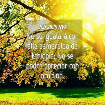 Picture 04 - Job 28:19 RVA - No se igualará con ella esmeralda de Ethiopía; - Bible Verse Picture