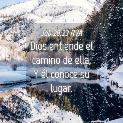Picture 04 - Job 28:23 RVA - Dios entiende el camino de ella, Y él conoce su - Bible Verse Picture