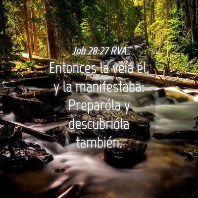 Picture 04 - Job 28:27 RVA - Entonces la veía él, y la manifestaba: - Bible Verse Picture