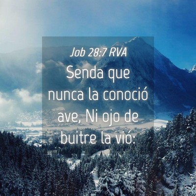 Picture 04 - Job 28:7 RVA - Senda que nunca la conoció ave, Ni ojo de buitre - Bible Verse Picture