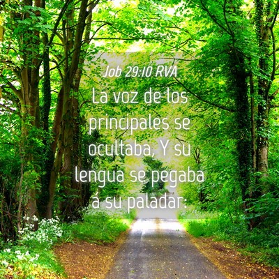 Picture 04 - Job 29:10 RVA - La voz de los principales se ocultaba, Y su - Bible Verse Picture