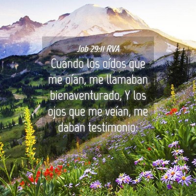 Picture 04 - Job 29:11 RVA - Cuando los oídos que me oían, me llamaban - Bible Verse Picture