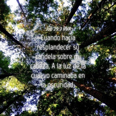 Picture 04 - Job 29:3 RVA - Cuando hacía resplandecer su candela sobre mi - Bible Verse Picture
