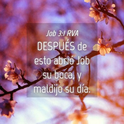 Picture 04 - Job 3:1 RVA - DESPUÉS de esto abrió Job su boca, y maldijo su - Bible Verse Picture