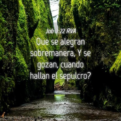 Picture 04 - Job 3:22 RVA - Que se alegran sobremanera, Y se gozan, cuando - Bible Verse Picture