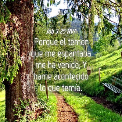 Picture 04 - Job 3:25 RVA - Porque el temor que me espantaba me ha venido, Y - Bible Verse Picture