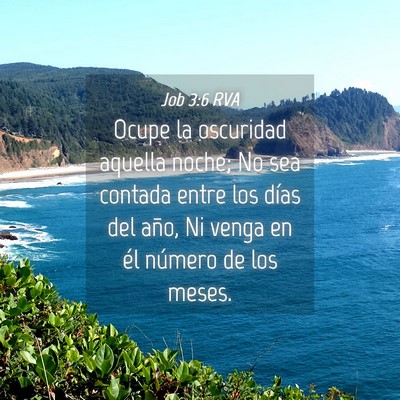 Picture 04 - Job 3:6 RVA - Ocupe la oscuridad aquella noche; No sea contada - Bible Verse Picture