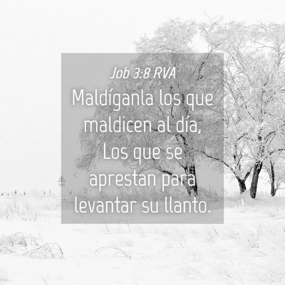 Picture 04 - Job 3:8 RVA - Maldíganla los que maldicen al día, Los que se - Bible Verse Picture