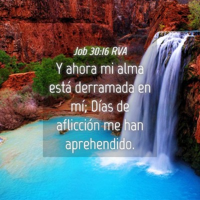 Picture 04 - Job 30:16 RVA - Y ahora mi alma está derramada en mí; Días de - Bible Verse Picture