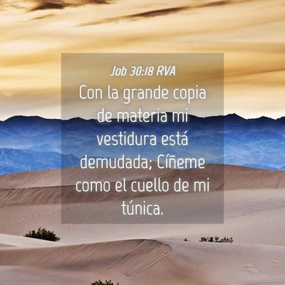 Picture 04 - Job 30:18 RVA - Con la grande copia de materia mi vestidura está - Bible Verse Picture