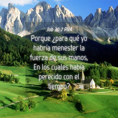 Picture 04 - Job 30:2 RVA - Porque ¿para qué yo habría menester la fuerza - Bible Verse Picture