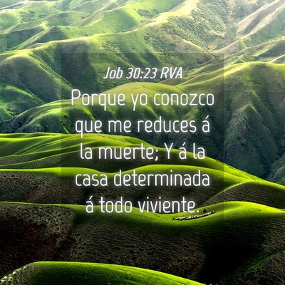 Picture 04 - Job 30:23 RVA - Porque yo conozco que me reduces á la muerte; Y - Bible Verse Picture