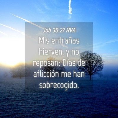 Picture 04 - Job 30:27 RVA - Mis entrañas hierven, y no reposan; Días de - Bible Verse Picture