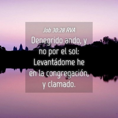 Picture 04 - Job 30:28 RVA - Denegrido ando, y no por el sol: Levantádome he - Bible Verse Picture