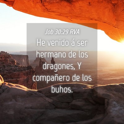 Picture 04 - Job 30:29 RVA - He venido á ser hermano de los dragones, Y - Bible Verse Picture