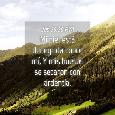 Picture 04 - Job 30:30 RVA - Mi piel está denegrida sobre mí, Y mis huesos - Bible Verse Picture