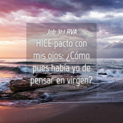 Picture 04 - Job 31:1 RVA - HICE pacto con mis ojos: ¿Cómo pues había yo - Bible Verse Picture