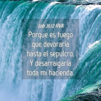 Picture 04 - Job 31:12 RVA - Porque es fuego que devoraría hasta el sepulcro, - Bible Verse Picture