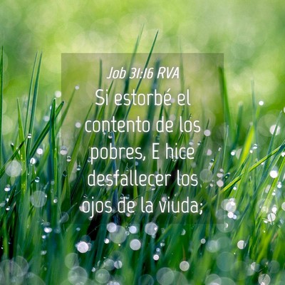 Picture 04 - Job 31:16 RVA - Si estorbé el contento de los pobres, E hice - Bible Verse Picture