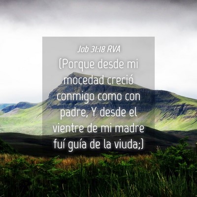 Picture 04 - Job 31:18 RVA - (Porque desde mi mocedad creció conmigo como con - Bible Verse Picture
