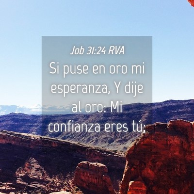 Picture 04 - Job 31:24 RVA - Si puse en oro mi esperanza, Y dije al oro: Mi - Bible Verse Picture