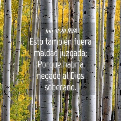 Picture 04 - Job 31:28 RVA - Esto también fuera maldad juzgada; Porque - Bible Verse Picture