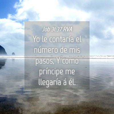 Picture 04 - Job 31:37 RVA - Yo le contaría el número de mis pasos, Y como - Bible Verse Picture