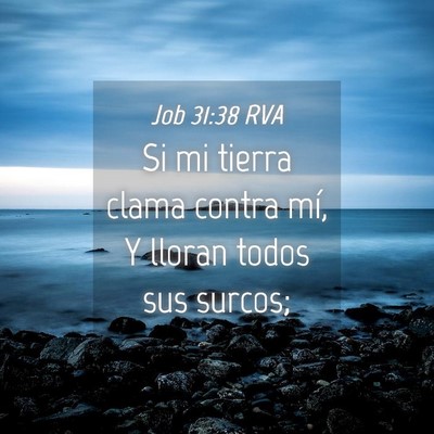 Picture 04 - Job 31:38 RVA - Si mi tierra clama contra mí, Y lloran todos sus - Bible Verse Picture