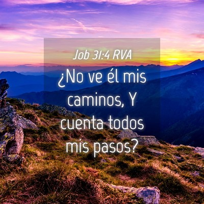 Picture 04 - Job 31:4 RVA - ¿No ve él mis caminos, Y cuenta todos mis - Bible Verse Picture