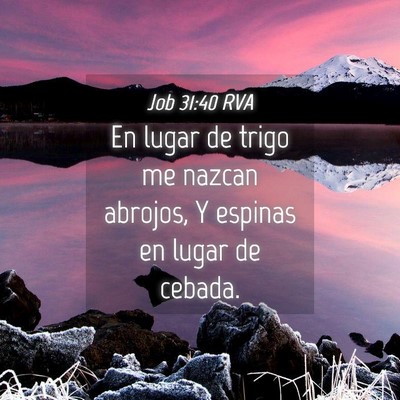 Picture 04 - Job 31:40 RVA - En lugar de trigo me nazcan abrojos, Y espinas en - Bible Verse Picture