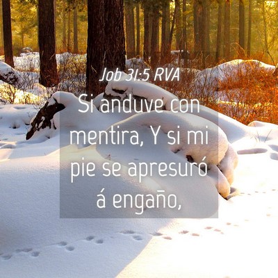 Picture 04 - Job 31:5 RVA - Si anduve con mentira, Y si mi pie se apresuró - Bible Verse Picture
