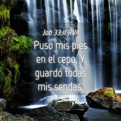 Picture 04 - Job 33:11 RVA - Puso mis pies en el cepo, Y guardó todas mis - Bible Verse Picture