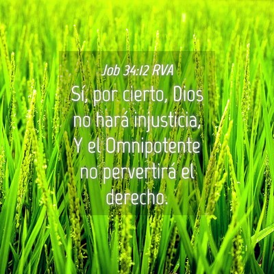 Picture 04 - Job 34:12 RVA - Sí, por cierto, Dios no hará injusticia, Y el - Bible Verse Picture