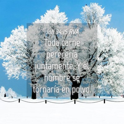 Picture 04 - Job 34:15 RVA - Toda carne perecería juntamente, Y el hombre se - Bible Verse Picture