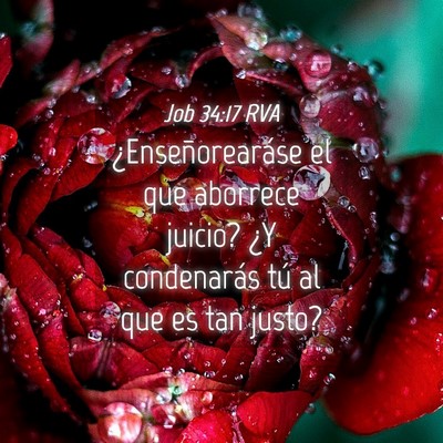 Picture 04 - Job 34:17 RVA - ¿Enseñorearáse el que aborrece juicio? ¿Y - Bible Verse Picture
