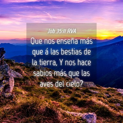 Picture 04 - Job 35:11 RVA - Que nos enseña más que á las bestias de la - Bible Verse Picture