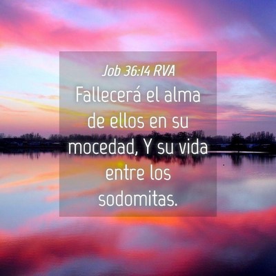Picture 04 - Job 36:14 RVA - Fallecerá el alma de ellos en su mocedad, Y su - Bible Verse Picture