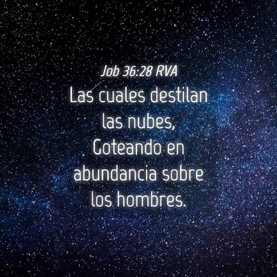 Picture 04 - Job 36:28 RVA - Las cuales destilan las nubes, Goteando en - Bible Verse Picture